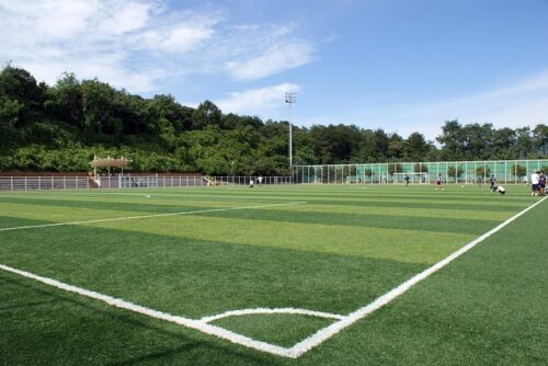Artificial grass 5cm 14 stitches
