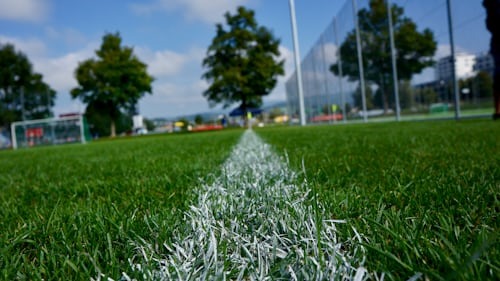 Artificial grass 5cm 18 stitches