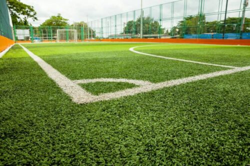 Artificial grass 5cm 16 stitches