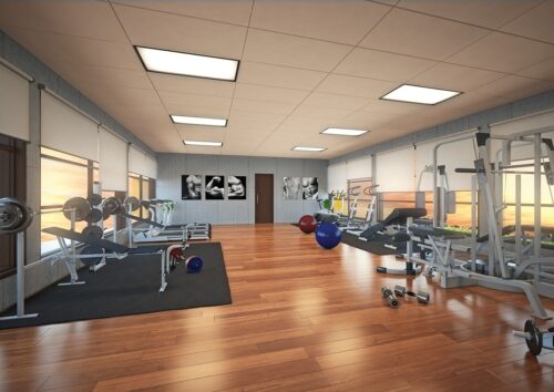 Revêtements de Sol Multi-Usages : Vinyle et Parquet